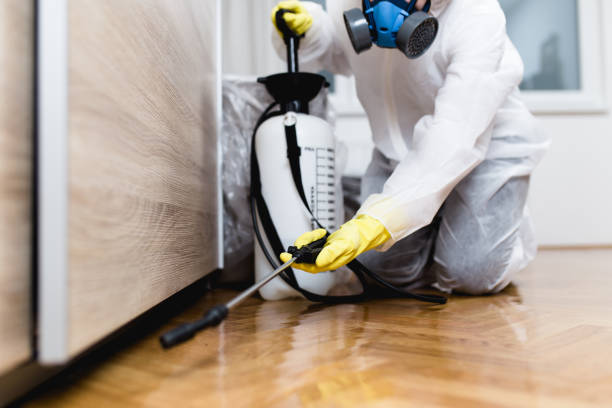 Best Best Pest Control Companies  in Chestertown, MD