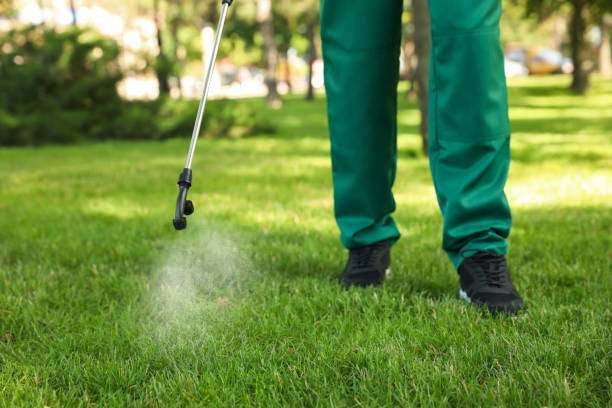 Best Flea Control Services  in Chestertown, MD