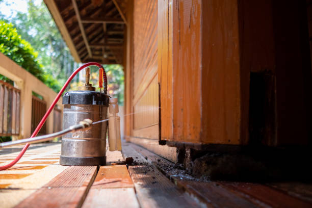 Best Local Pest Control Services  in Chestertown, MD