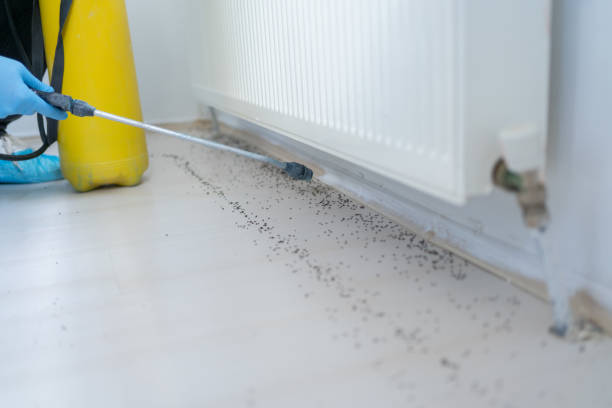 Professional Pest Control in Chestertown, MD