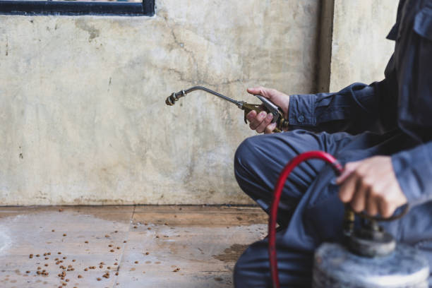 Best Best Pest Control Companies  in Chestertown, MD